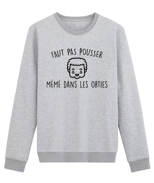 FAUT PAS POUSSER MÉMÉ DANS LES ORTIES