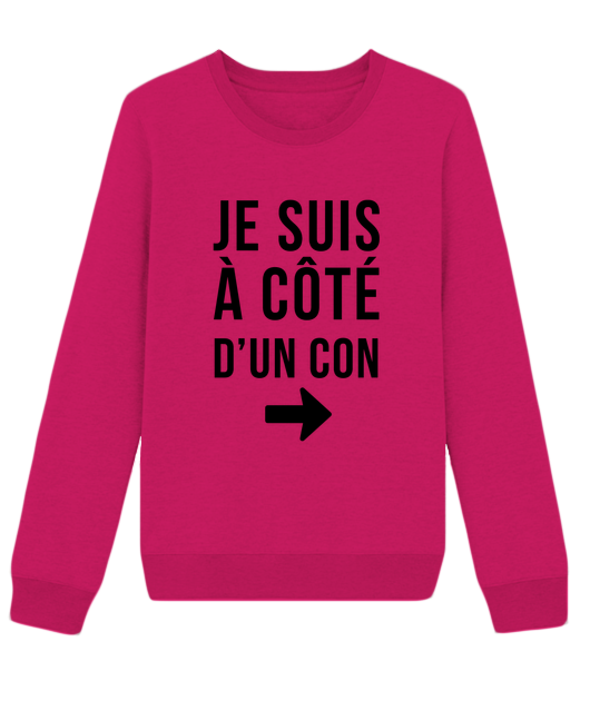 JE SUIS À COTÉ D'UN CON !