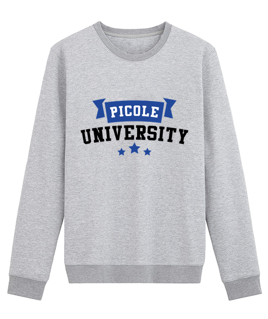 Picole university