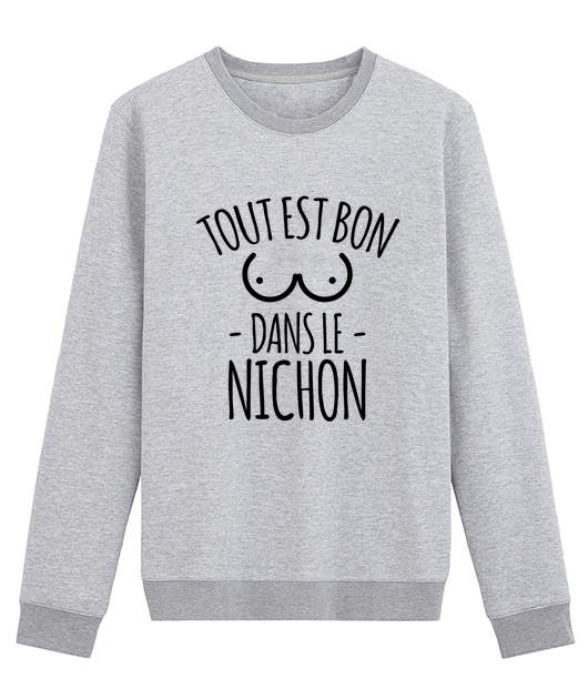 TOUT EST BON DANS LE NICH*N