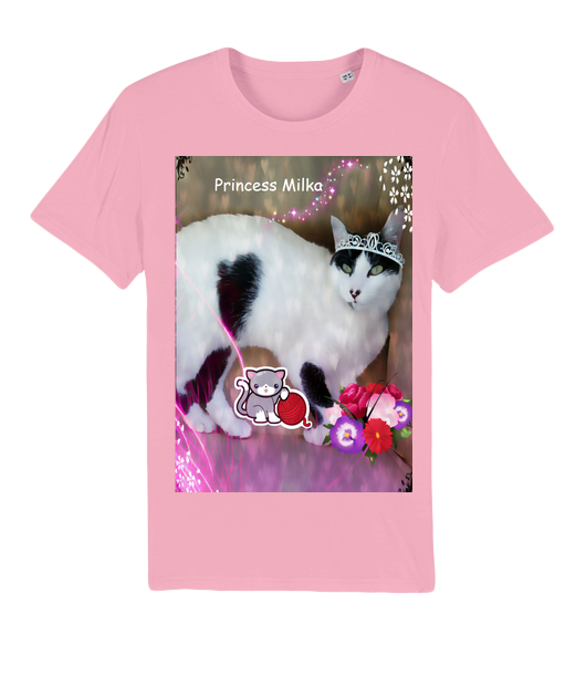 Tee-shirt unisexe bio