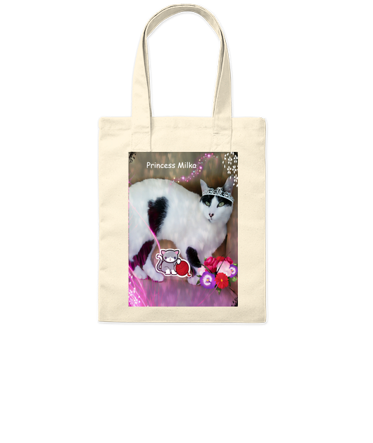 Tote Bag 100% Coton
