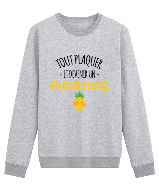 TOUT PLAQUER ET DEVENIR UN ANANAS