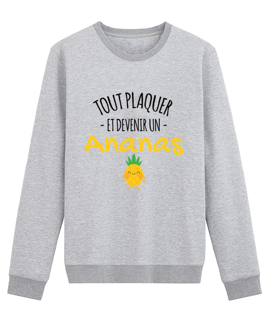 TOUT PLAQUER ET DEVENIR UN ANANAS
