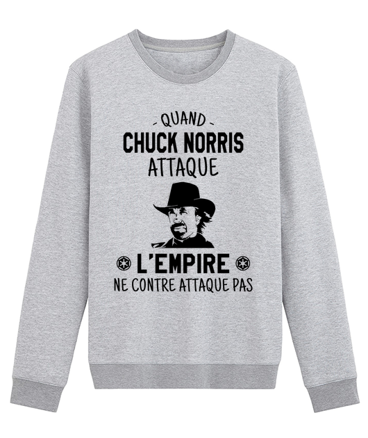 QUAND CHUCK NORRIS ATTAQUE