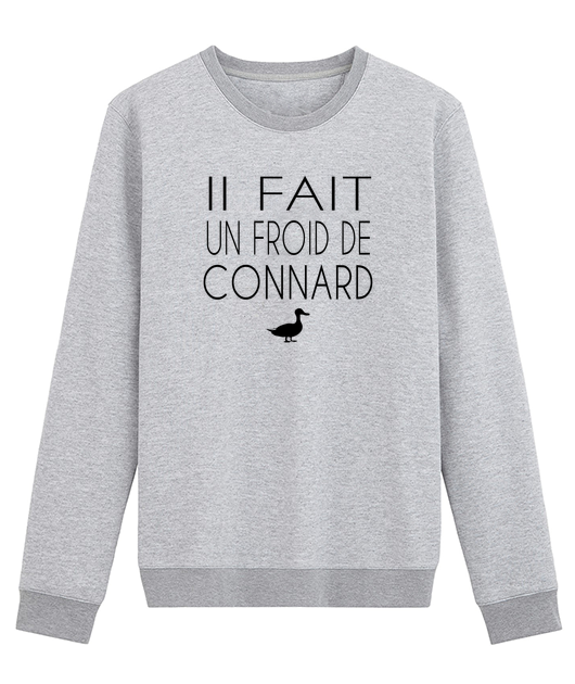 IL FAIT UN FROID DE CONNARD