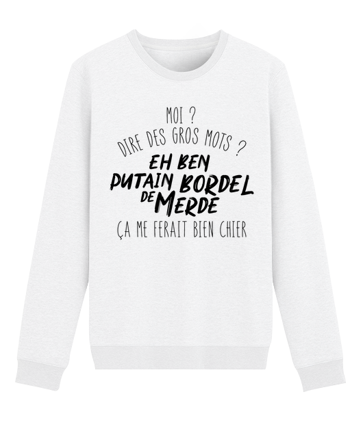 MOI DIRE DES GROS MOTS EH BEN PUTAIN BORDEL DE MERDE CA ME FARAIT BIEN CHIER