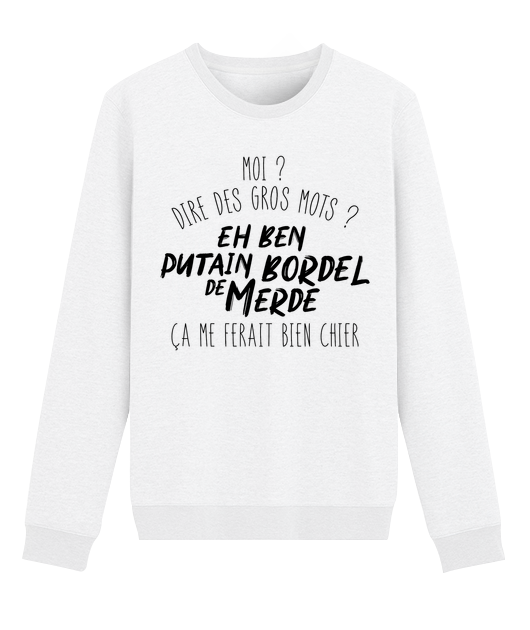 MOI DIRE DES GROS MOTS EH BEN PUTAIN BORDEL DE MERDE CA ME FARAIT BIEN CHIER