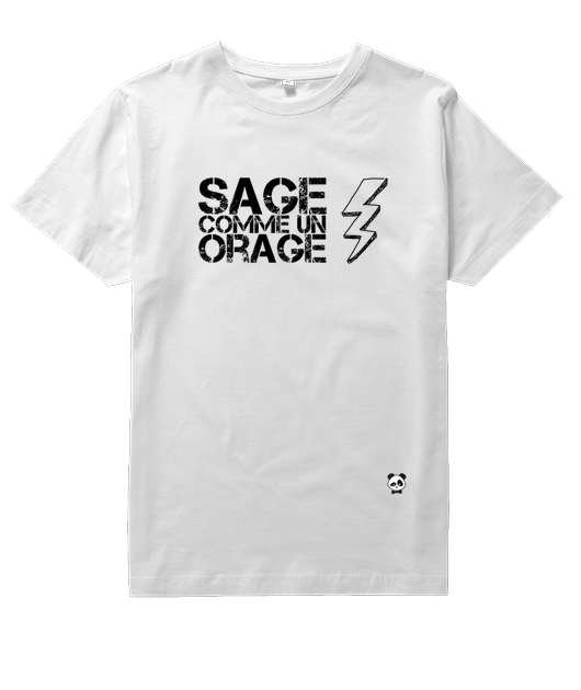 Sage comme un orage