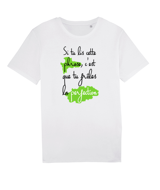 T-shirt Lire la perfection