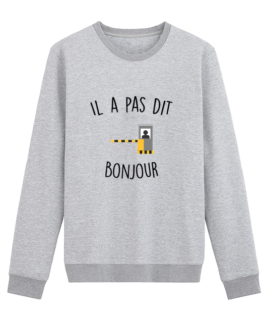 IL A PAS DIT BONJOUR !