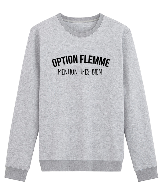OPTION FLEMME !