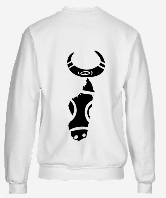 SWEATSHIRT HOMME ZNKA 405 - Vue 2