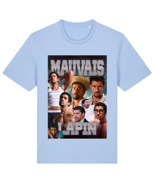 mauvais lapin