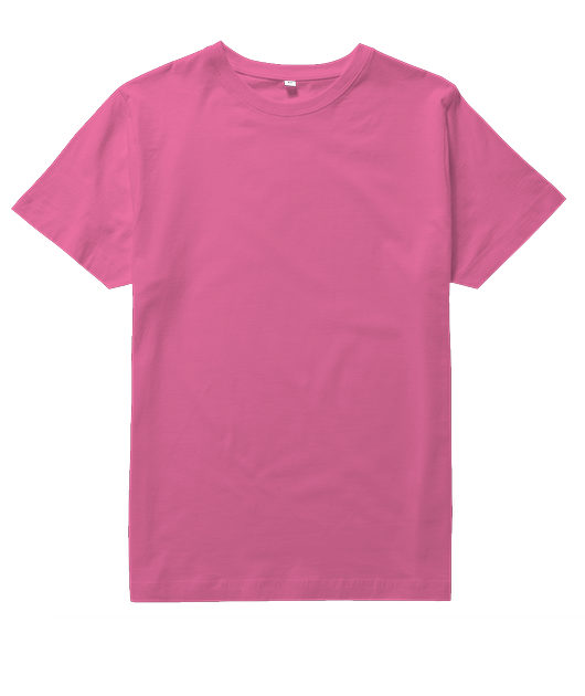 Tee unisexe bio Premium
