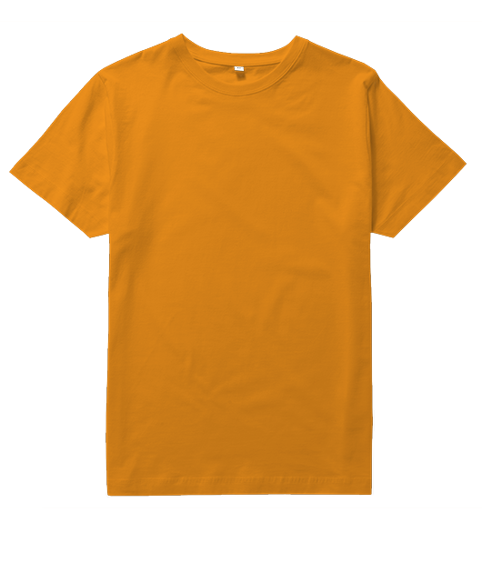 Tee unisexe bio Premium