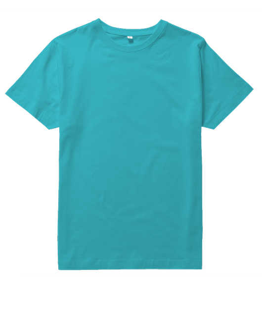Tee unisexe bio Premium