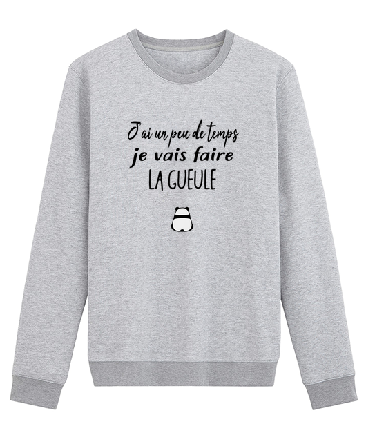 J'AI UN PEU DE TEMPS JE VAIS FAIRE LA GUEULE