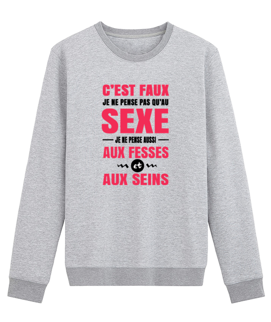 C'EST FAUX JE NE PENSE PAS QU'AU SEXE