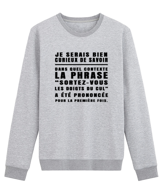 JE SERAIS BIEN CURIEUX DE SAVOIR DANS QUEL CONTEXTE LA PHRASE ...
