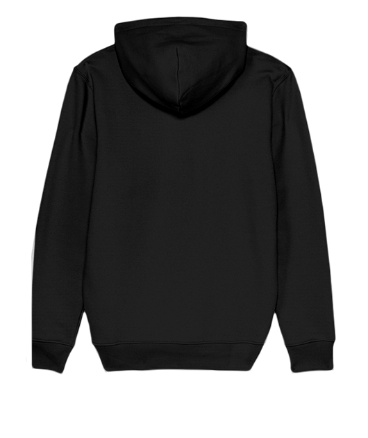 SWEAT BELLEVILLE 1 - Vue 2