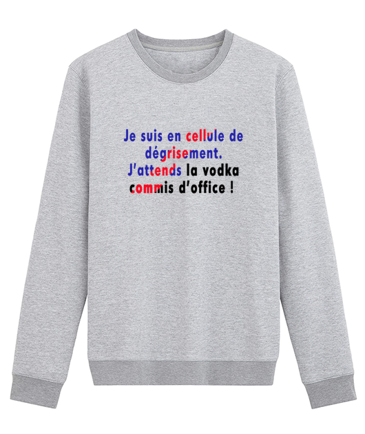 JE SUIS EN CELLULE DE DEGRISEMENT J'ATTENDS LA VODKA COMMIS D'OFFICE