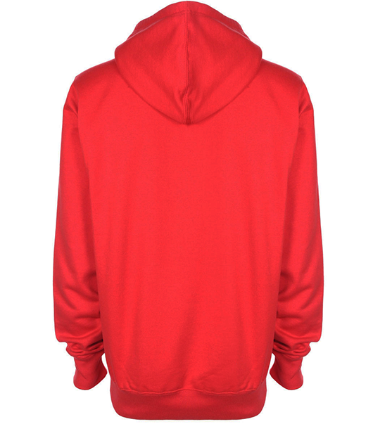 Hoodie H/F Premium - Vue 2