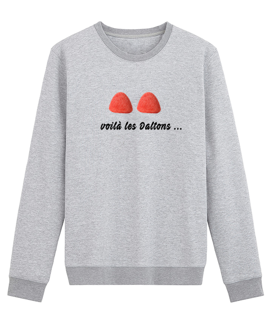 TAGADA TAGADA VOILA LES DALTONS