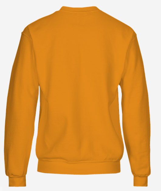 pull lacoste - Vue 2