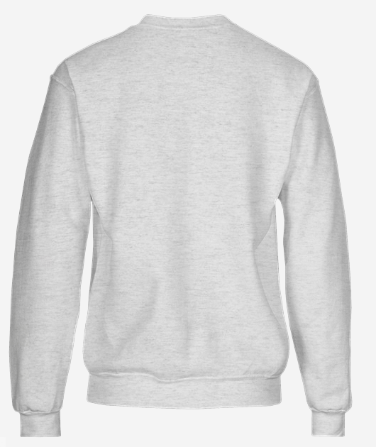Sweat homme 100% coton - Vue 3